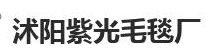 沭阳紫光毛毯厂印染废水处理